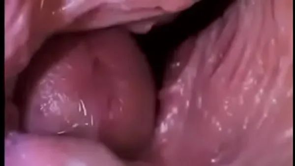 HD Dick Inside a Vagina drive Clips