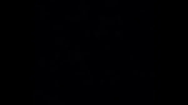 HD Secret wannabe Kristina Bashams gangbang audio ft. Chandra Birl And Camille Birl with special guest Dogwood Danielle Ecrement Canton Ohio edition-stasjonsklipp