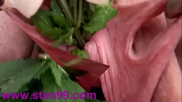HD Nettles in Peehole Urethral Insertion Nettles & Fisting Cunt drive Clips