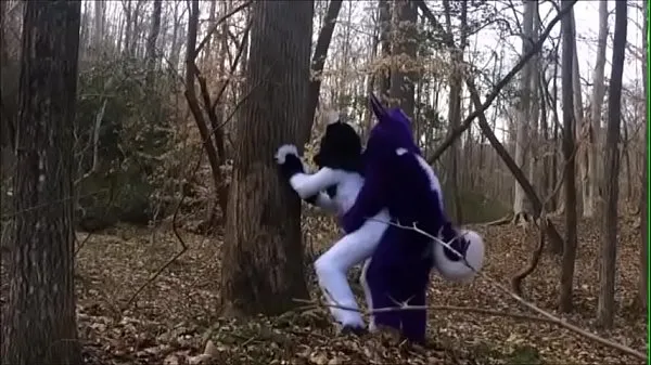 HD Fursuit Couple Mating in Woods drive Clips