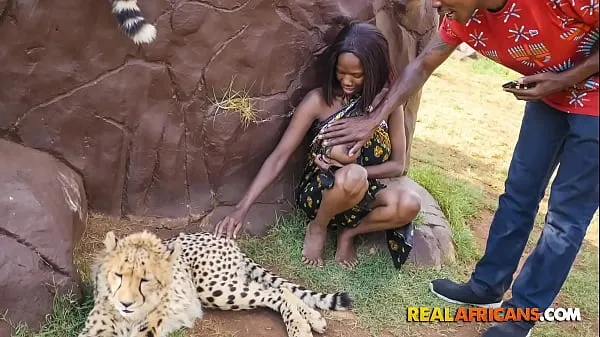 HD Wild African Car Sex In Safari Park drive Clips