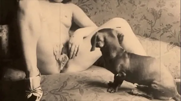HD Vintage Taboo, Pussy & Pooch meghajtó klipek