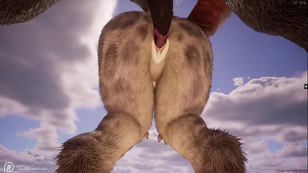 Klip berkendara Wild Life Furry Hentai HD